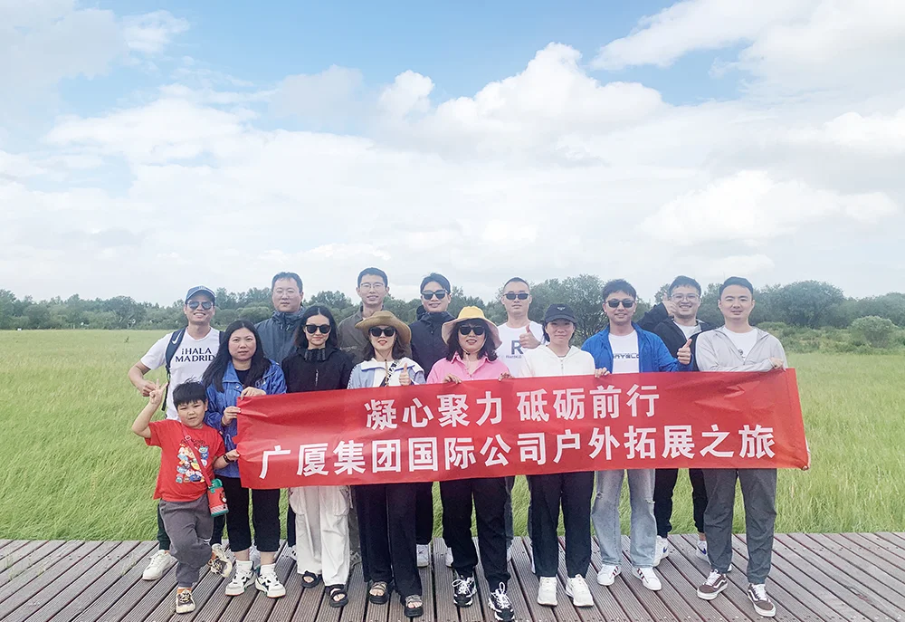 gs housing sales team Activity