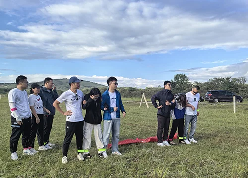 gs housing sales team Activity