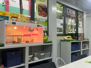 Completed modular science classroom interior with reptile enclosures and educational displays at Tai Po school